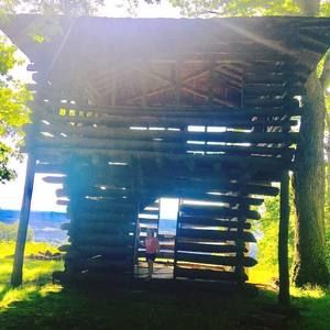 Meet your Posher, Shawn